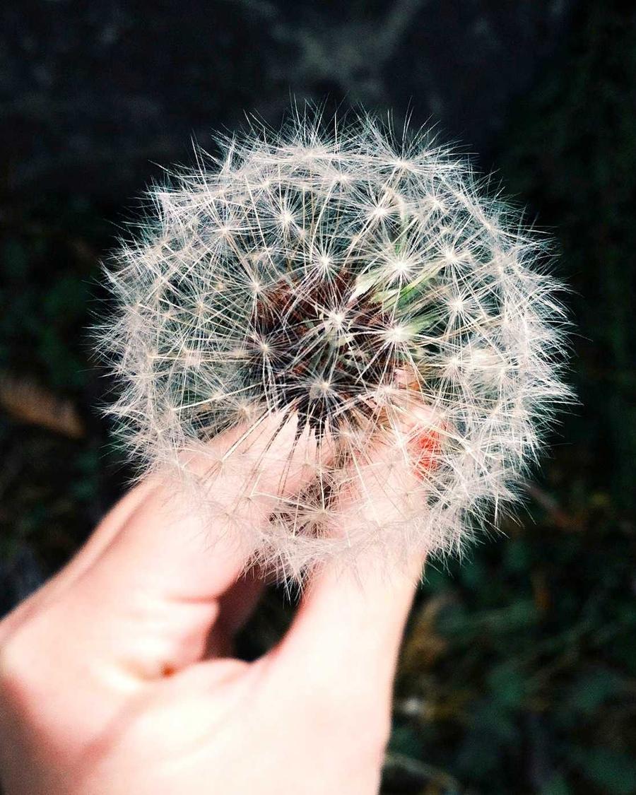 Il look della settimana: Minimalismo Mediterraneo