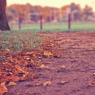 Sofia Ricci, Direttrice Creativa di Acheel